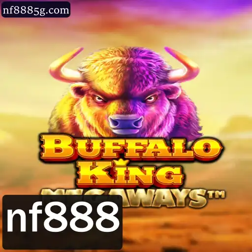 BuffaloKing: Uma Nova Jornada no Mundo dos Jogos